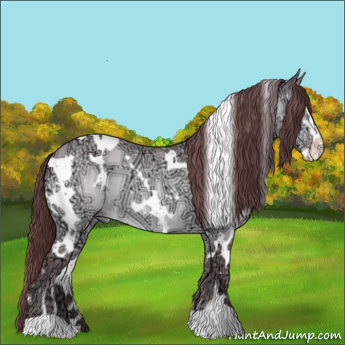 Horse Color:White Spotted Chocolate Sable Champagne Chinchilla Ice Sabino 