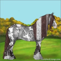Horse Color:White Spotted Chocolate Sable Champagne Chinchilla Ice Sabino 