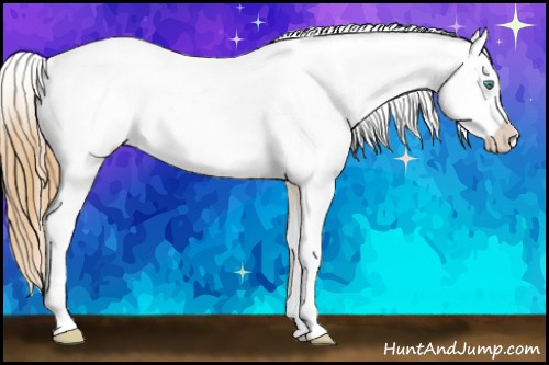 Horse Color:White Spotted Smoky Black Ice Pearl Appaloosa 