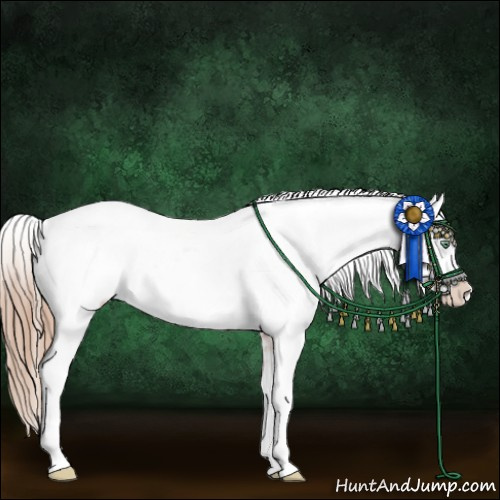 Horse Color:White Spotted Gold Champagne Sabino Appaloosa 