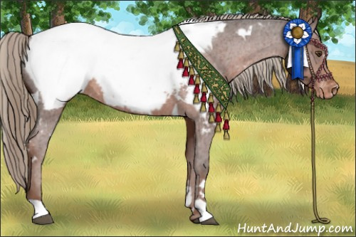 Horse Color:White Spotted Liver Chestnut Appaloosa 