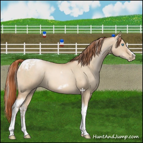 Horse Color:Chocolate Palomino Pearl Dun Tobiano Frame and Buckskin Pearl Dun Tobiano Frame
