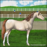 Horse Color:Chocolate Palomino Pearl Dun Tobiano Frame  and Buckskin Pearl Dun Tobiano Frame 