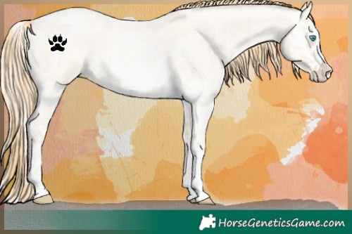 Horse Color:Buckskin Roan Pearl  and Buckskin Roan Pearl Splash 