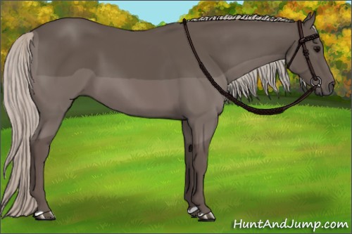 Horse Color:Silver Black