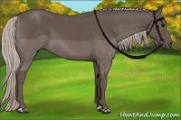 Horse Color:Silver Black 