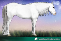 Horse Color:White Spotted Brown Varnish 