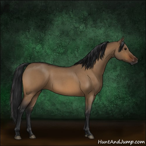 Horse Color:Gray Bay Roan Dun 