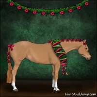 Horse Color:Chestnut Tobiano