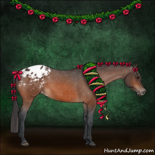 Horse Color:Bay Appaloosa