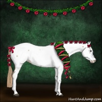 Horse Color:Chestnut Tobiano Appaloosa 