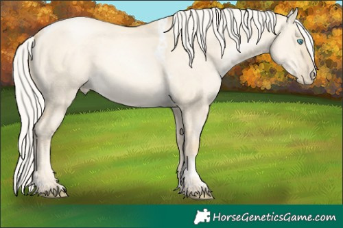 Horse Color:Silver Sable Cream Champagne Pearl Dun Tobiano 