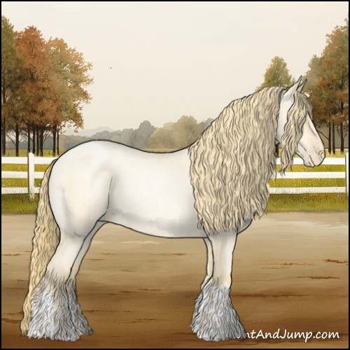 Horse Color:Buckskin Roan Pearl  and Buckskin Roan Pearl 