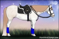 Horse Color:Smoky Black Pearl Splash 