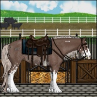 Horse Color:Silver Black Sabino Rabicano 
