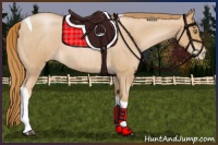 Horse Color:Red Roan Pearl Tobiano 