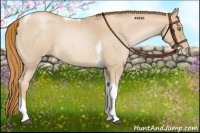 Horse Color:Red Roan Pearl Tobiano