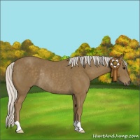 Horse Color:Silver Smoky Black Rabicano 