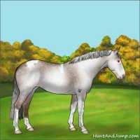 Horse Color:Gray Classic Champagne Tobiano 