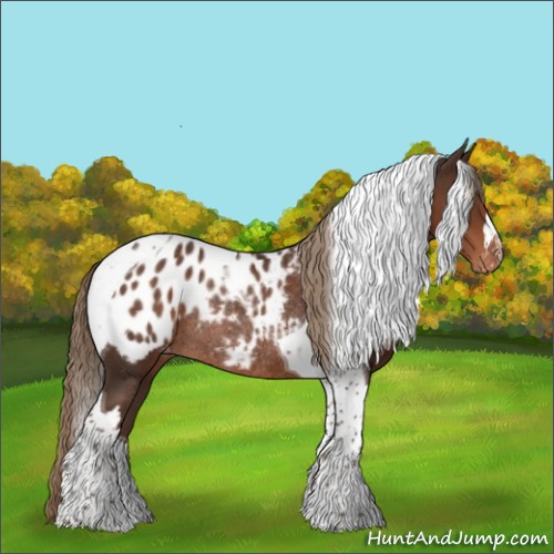 Horse Color:Liver Chestnut Tobiano Blanket Rabicano 