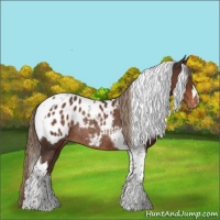 Horse Color:Liver Chestnut Tobiano Blanket Rabicano 
