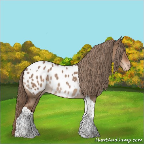 Horse Color:Liver Red Dun Tobiano Appaloosa Rabicano