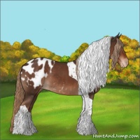 Horse Color:Liver Chestnut Tobiano Blanket Rabicano 