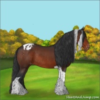 Horse Color:Bay Tobiano Varnish Rabicano 