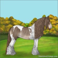 Horse Color:Liver Red Dun Tobiano Rabicano 
