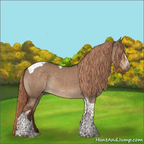 Horse Color:Liver Red Dun Tobiano Rabicano 