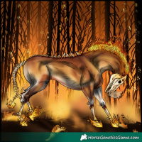 Horse Color:Gray Chocolate Silver Bay Onyx Rabicano