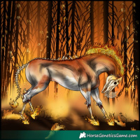 Horse Color:Chocolate Bay Onyx Splash Rabicano 