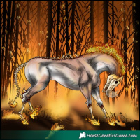 Horse Color:Platinum Silver Bay Onyx Rabicano 