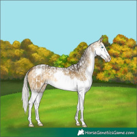 Horse Color:Silver Smoky Black Pearl Varnish  and Silver Buckskin Splash 