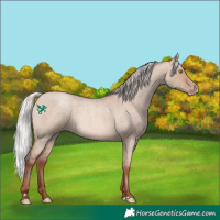 Horse Color:Silver Sable Champagne Roan Dun 