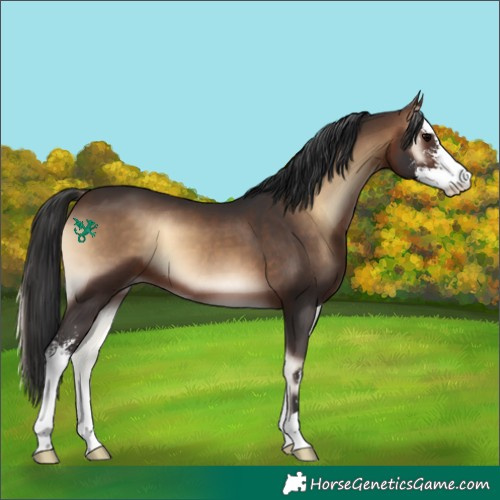 Horse Color:Brown Onyx Sabino 