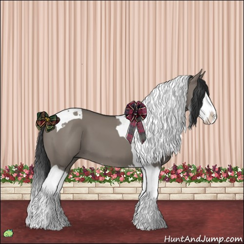 Horse Color:Grullo Splash Tobiano 