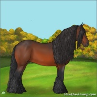 Horse Color:Brown 