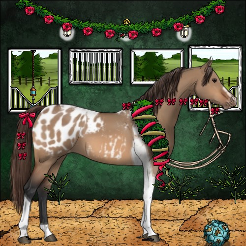 Horse Color:Bay Dun Sabino Tobiano Appaloosa 