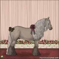 Horse Color:Silver Grullo 