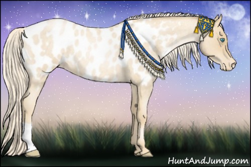 Horse Color:Palomino Roan Pearl Appaloosa