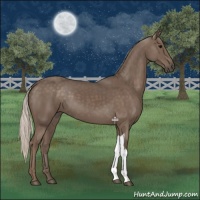 Horse Color:Silver Black 