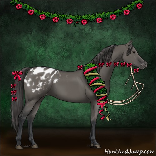 Horse Color:Grullo Appaloosa