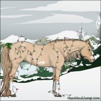 Horse Color:Red Dun Roan Splash Frame Rabicano 