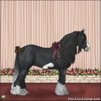 Horse Color:Black Splash Frame 