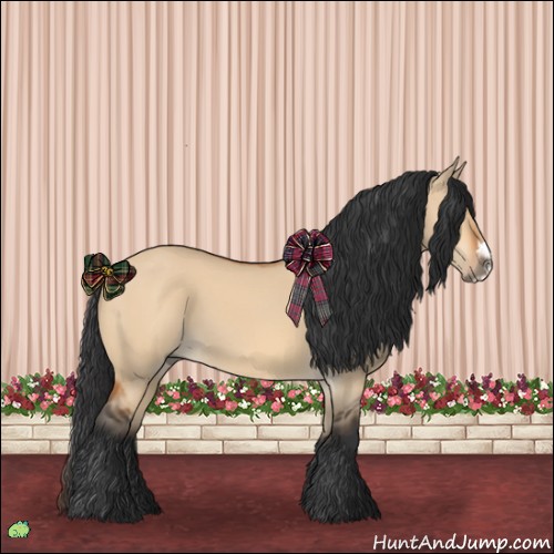 Horse Color:Bay Dun Splash Frame 