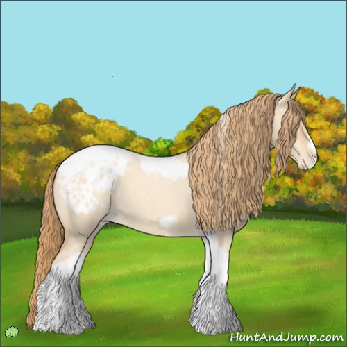 Horse Color:Gold Champagne Roan Dun Splash Tobiano Frame Appaloosa Rabicano 