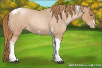 Horse Color:Red Roan Pearl Tobiano Frame