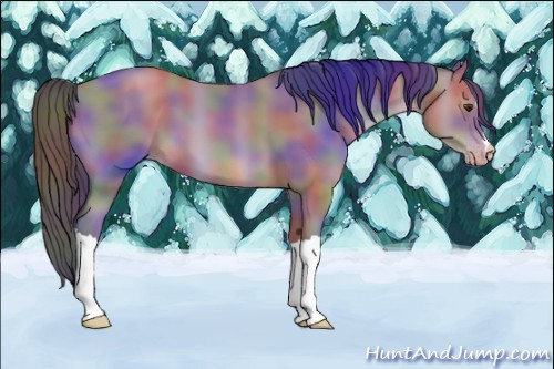 Horse Color:Nacre Classic Champagne 