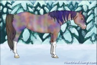 Horse Color:Nacre Classic Champagne 